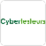Profitez d’un Code Promo Cybertesteurs FR Exclusif